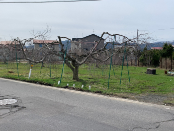 弘前市門外3丁目 170坪超 売地 青森県弘前市門外3丁目700万円の土地 売地や分譲地情報 おうち情報館