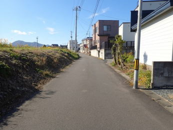 ���̑��@�쉈���̓��H�B
