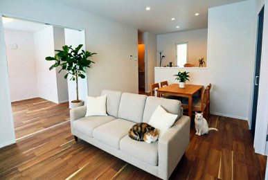 ���r���O�@�y�b�g�ƉƑ��c���̂ЂƎ����߂�����15��LDK�B�@���Ƌ��CG�ɂ��z�u�ł��B