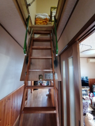 ���̑����ρ@-