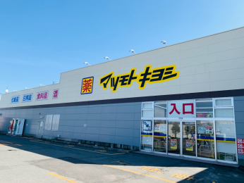 ���ӊ��@�h���b�O�X�g�A �}�c���g�L���V�O�O���c�X�܂œk��7���B