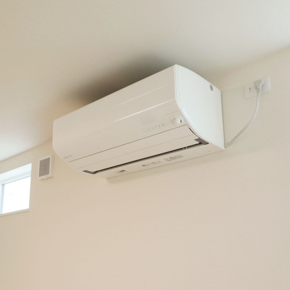 Ｂ賞　1名様 BRUNO　オーバルホットプレート【秋のワクワク大抽選会｜2日間限定ハズレなし！】エヴァーホーム