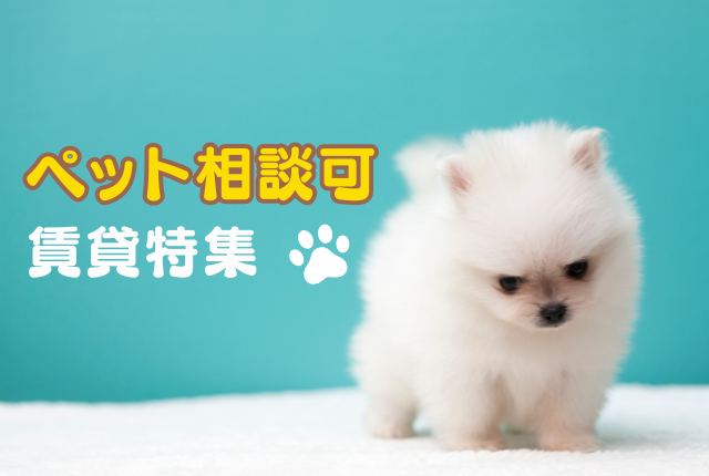 ペット相談可の賃貸物件を集めました！