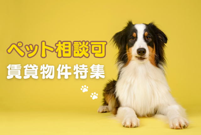 ペット相談可の賃貸物件を集めました!