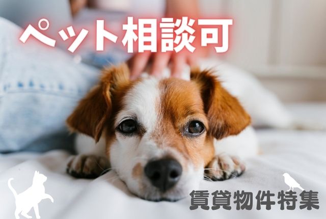 ペット相談可の賃貸物件を集めました!